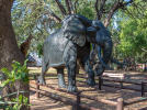 Statue vor der Elephant Hall